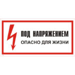 T 06 «Под напряжением. Опасно для жизни»