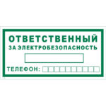 T 60 «Ответственный за электробезопасность»